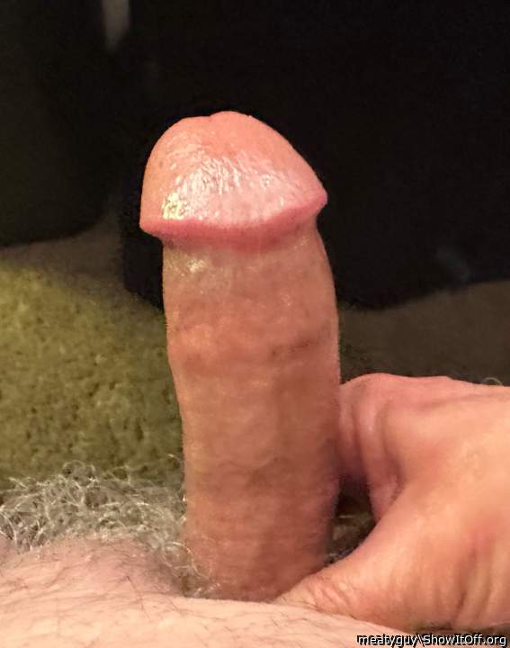 Photo of a snake from meatyguy