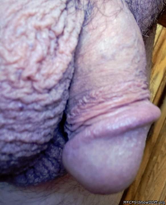 Photo of a python from M*C*S