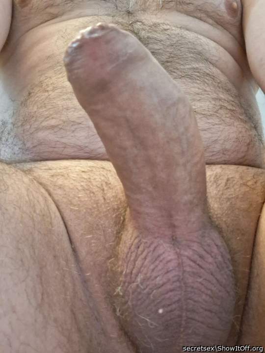 Photo of a schlong from secretsex