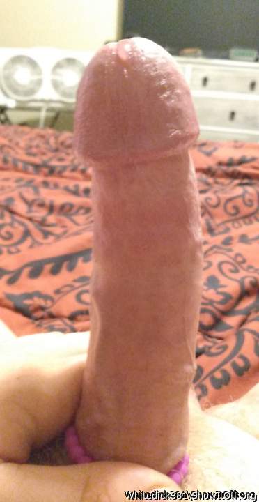 Photo of a drain pipe from Whitedick381