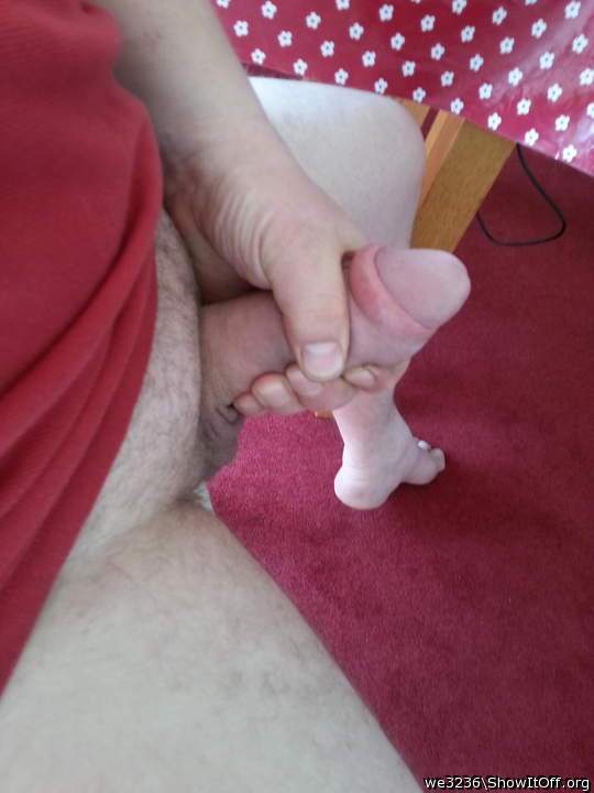 Photo of a middle leg from we3236