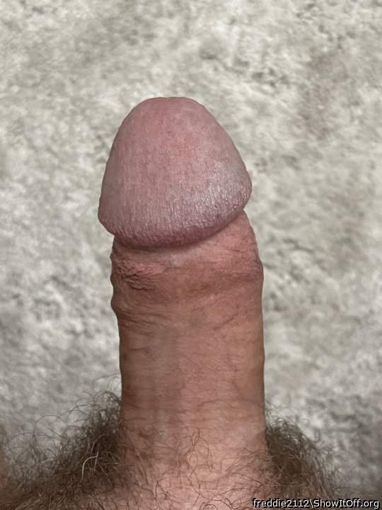 Photo of a ram rod from freddie2112