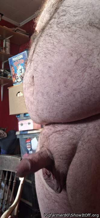 Photo of a lizard from Pigfarmer80