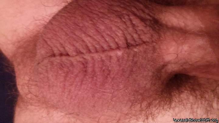 Testicles Photo from texasal