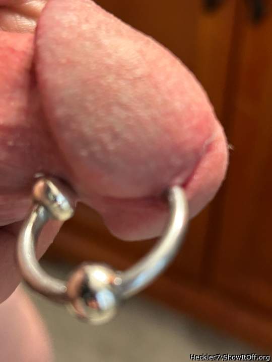 Photo of a cavalier from Heckler7