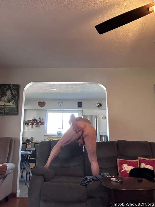 Photo of a cavalier from jimbobi