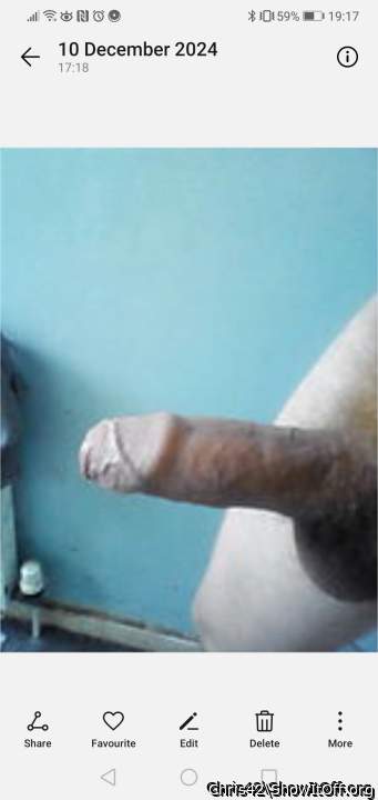 Photo of a bat from Chris42