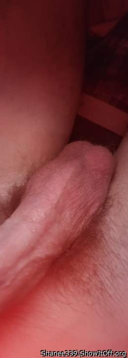 Photo of a stiffie from Shanee339