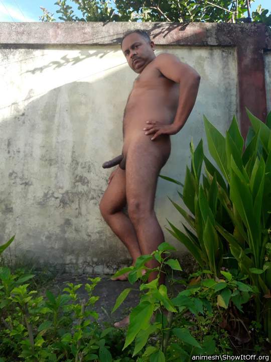 Morning erection
