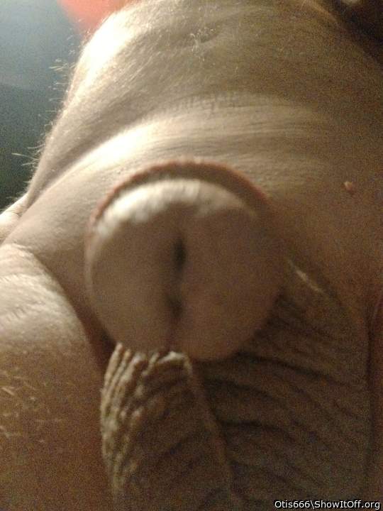 Looking straight into my eyes! Perfect place for it to shoot