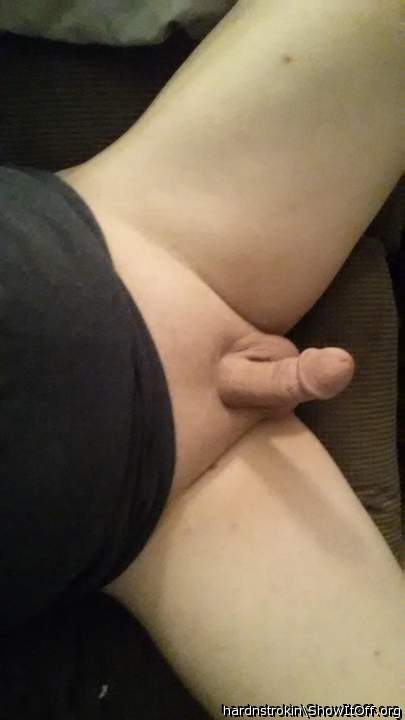 Photo of a horn from Hardnstrokin