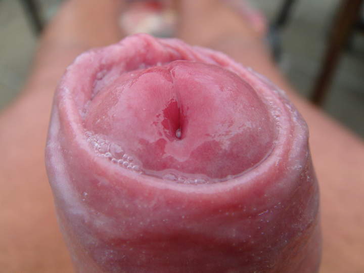 Photo of a sausage from sivad666