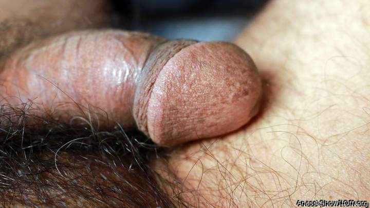 Photo of a member from Anass