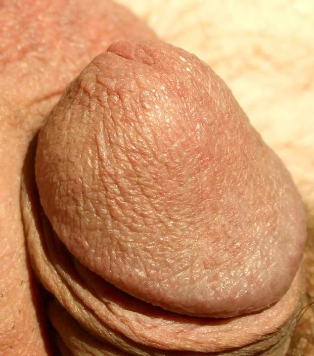 Photo of a prick from lilsoftee