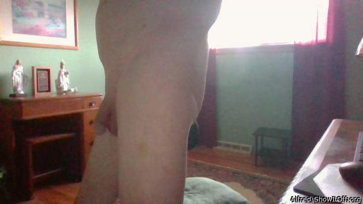Photo of a short leg from Alfred