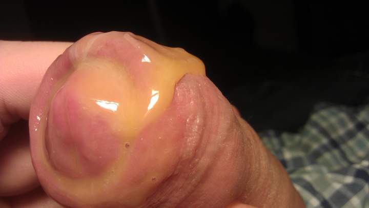 Photo of a pecker from Vanillacum