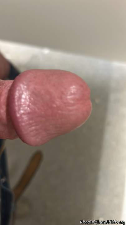 Photo of a prick from Rhodie