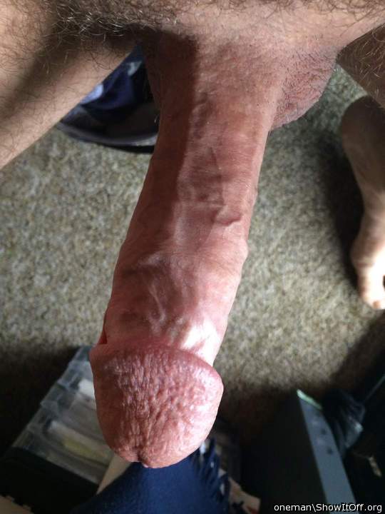 Photo of a cock from oneman