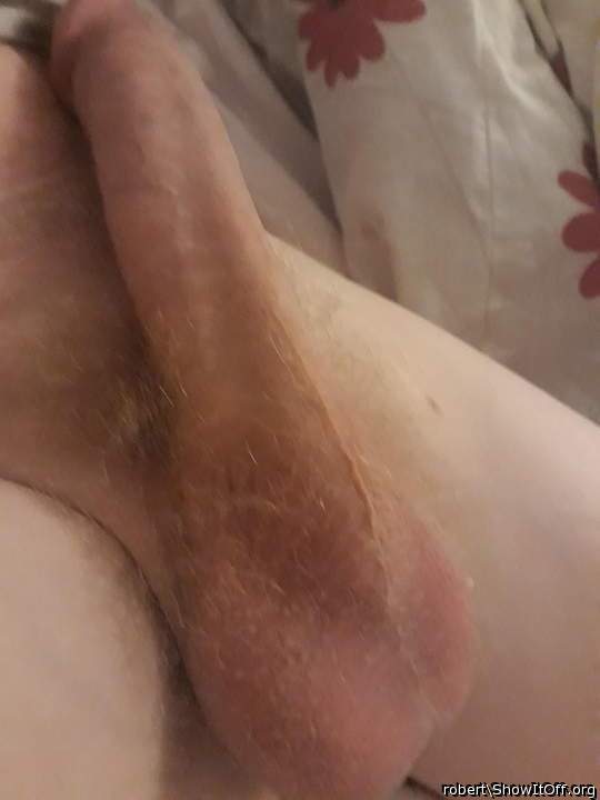 Photo of a stiffie from robert