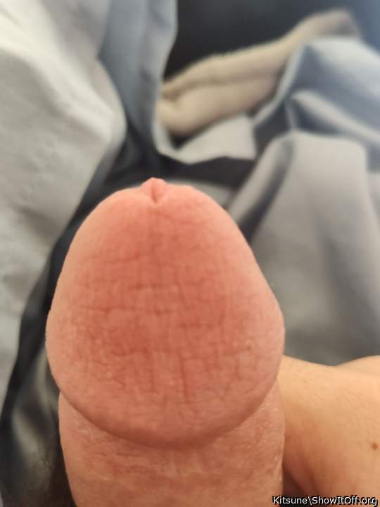 Photo of a pocket rocket from Kitsune