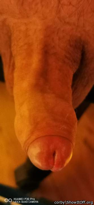 Photo of a dong from corby