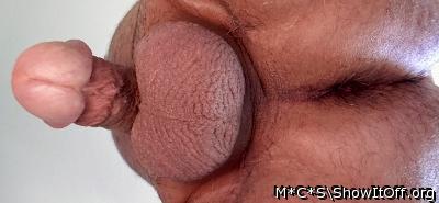 Photo of a snake from M*C*S