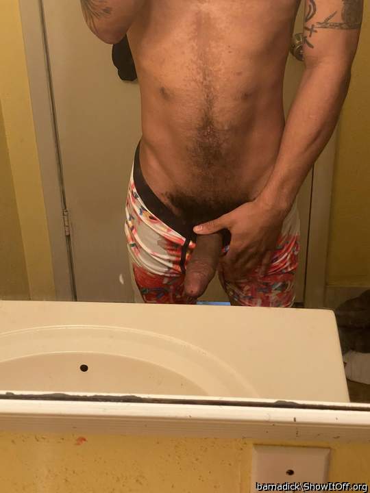 Photo of a bat from bamadick