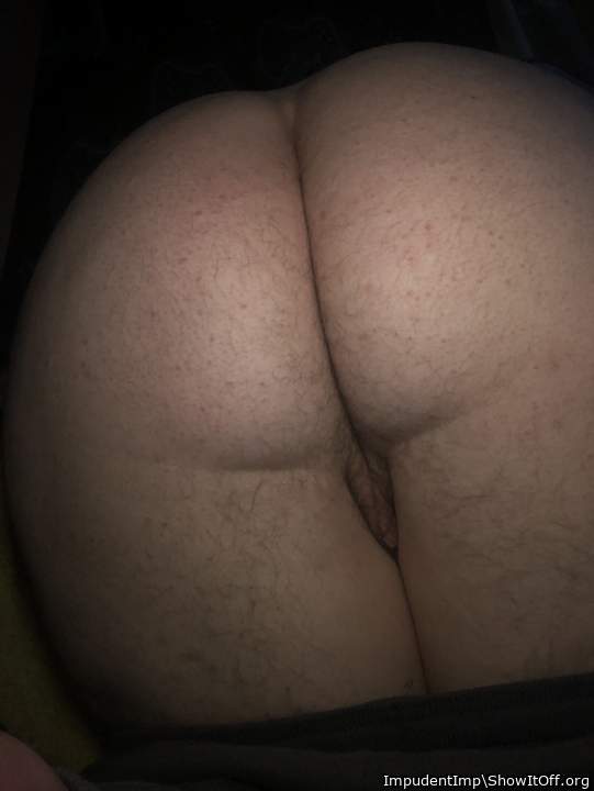 Photo of a cavalier from ImpudentImp