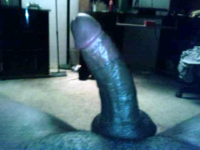 Photo of a cock from Assman80