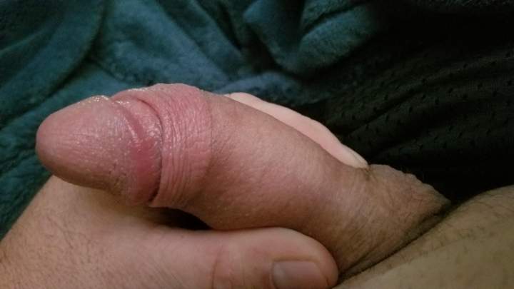 Photo of a penis from box72