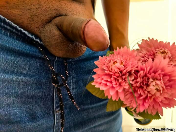 Photo of a ram rod from Stefanoo