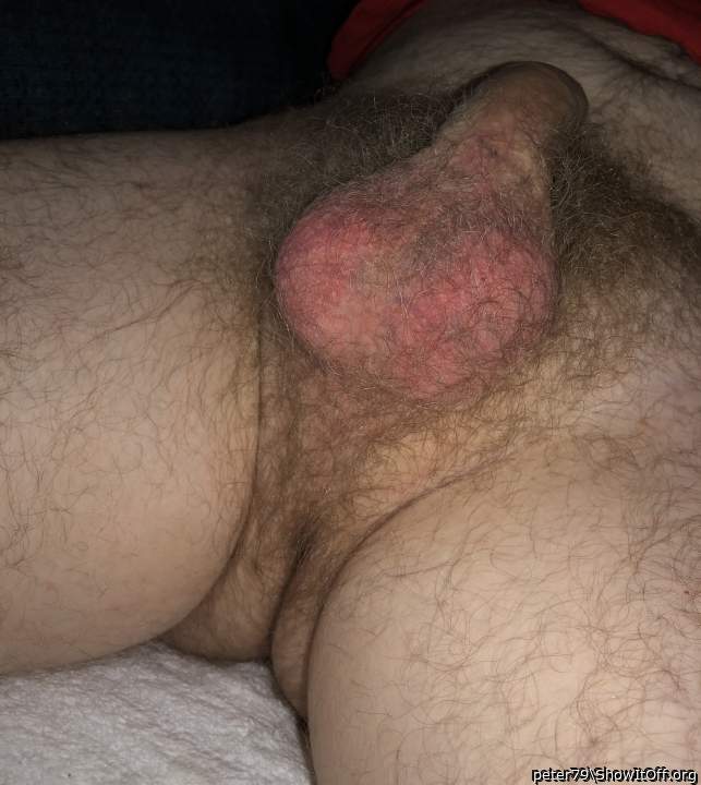 Testicles Photo from peter79