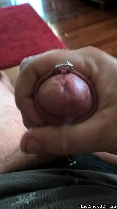 Photo of a phallus from fluid