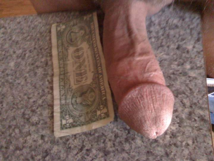 Looks like you get alot for the dollar!