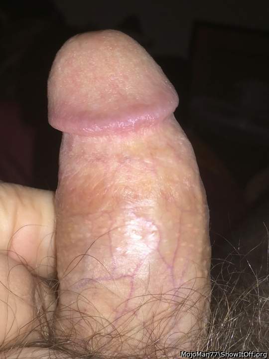 Photo of a dong from MojoMan77