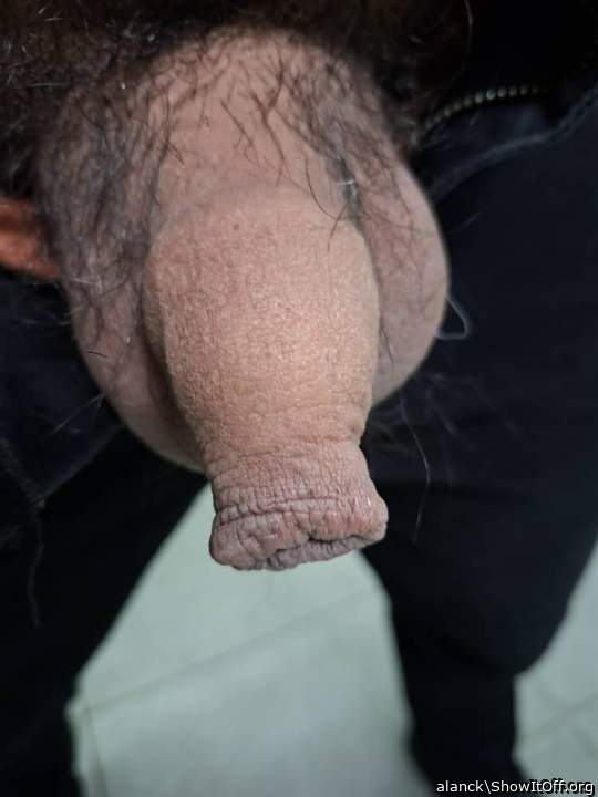 Photo of a lizard from alanck