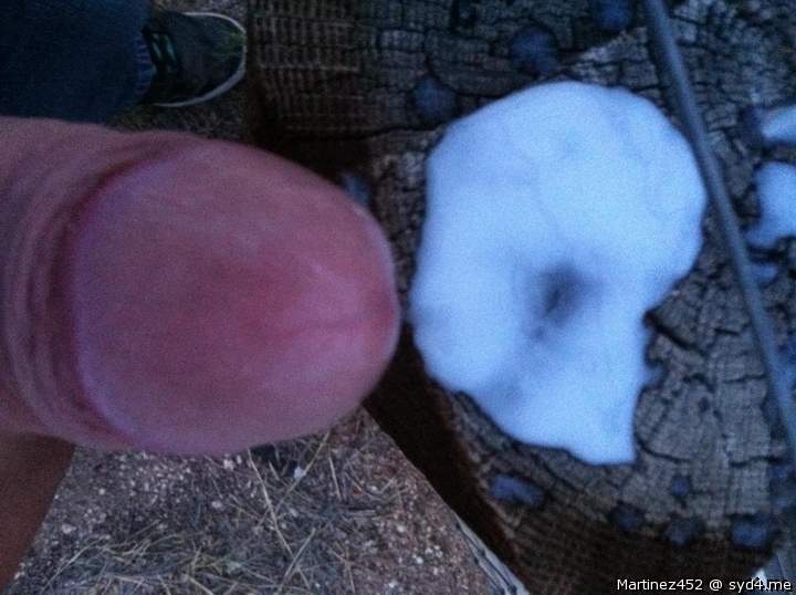Photo of a hot dog from Martinez452