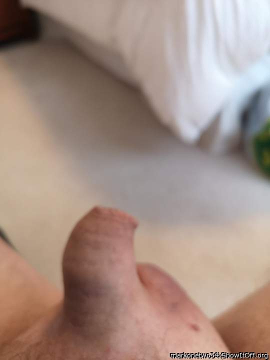 Photo of a bald-headed mouse from markonetwo34