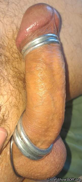 Photo of a cock from Little