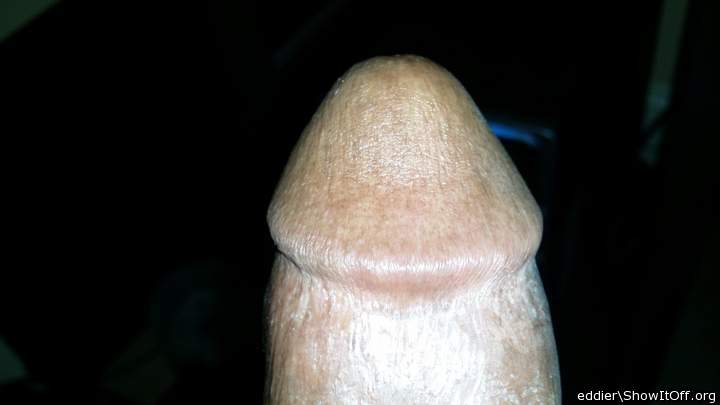 Photo of a schlong from eddier