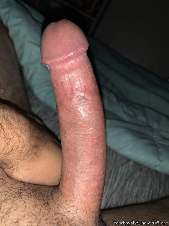Photo of a weasel from Yourboyely