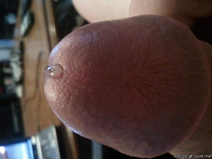 Photo of a tool from Drippythemushroom