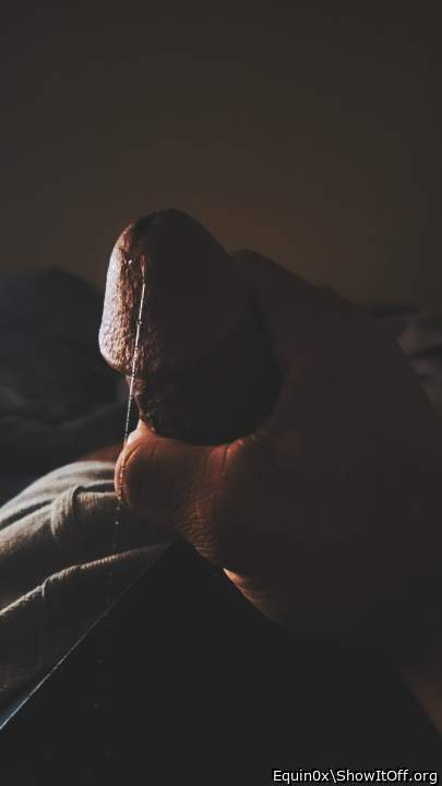 Photo of a python from Equin0x