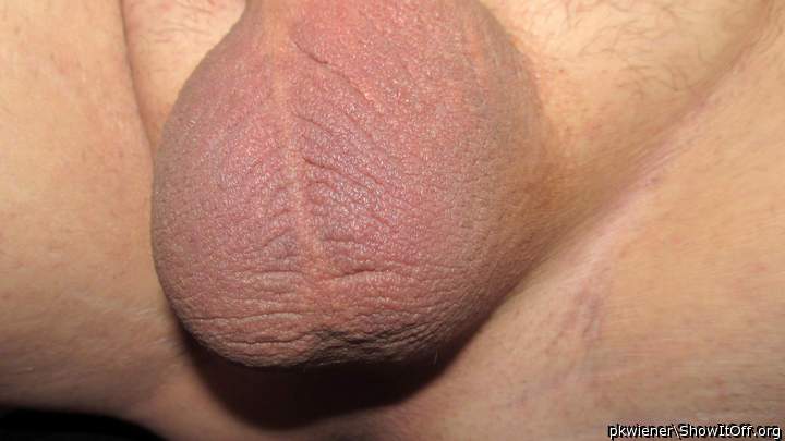 What a lovely pair.  I just love the texture of hairless scr