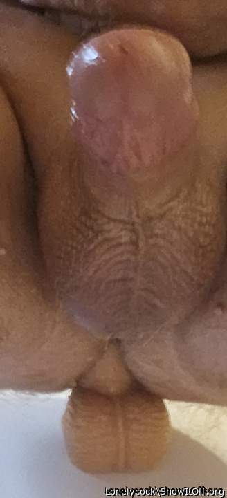 Adult image from Lonelycock