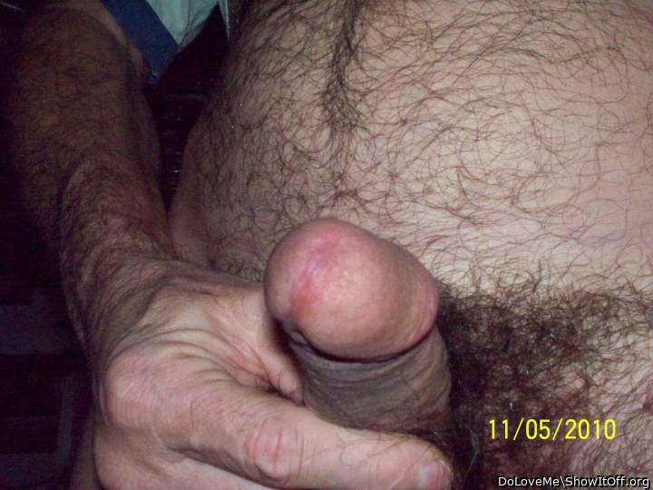 Photo of a cavalier from DoLoveMe