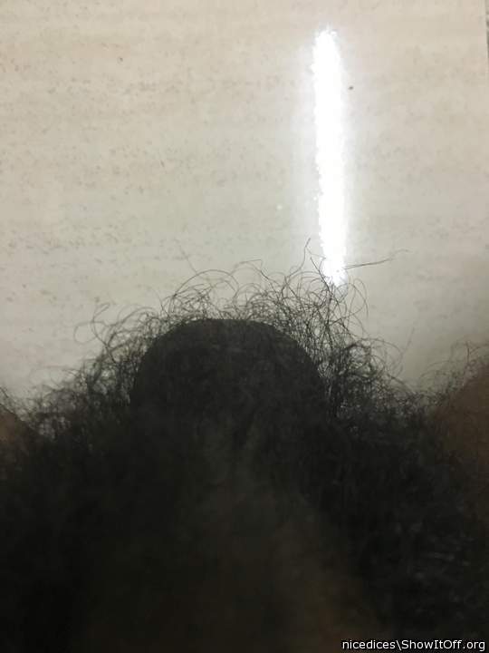 Nice furry balls