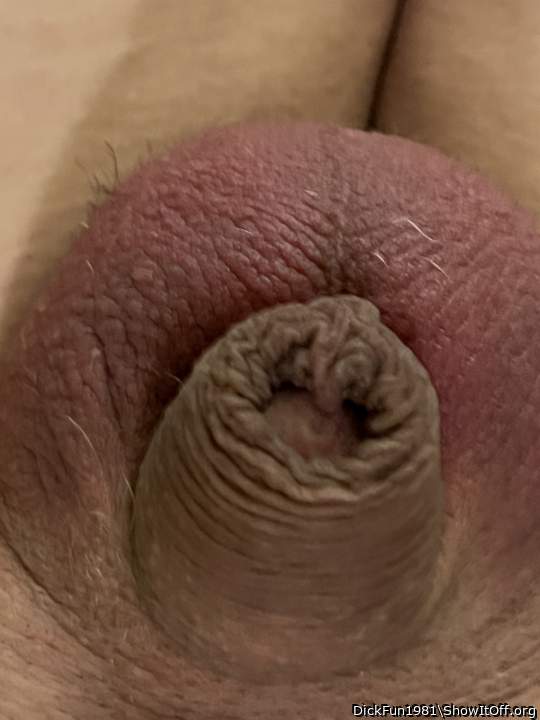 Photo of a thing from DickFun1981