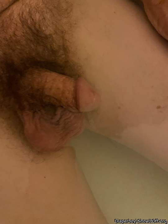 Photo of a dick from Diaperboy