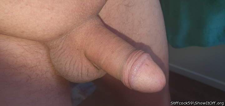 Photo of a rooster from Stiffcock59
